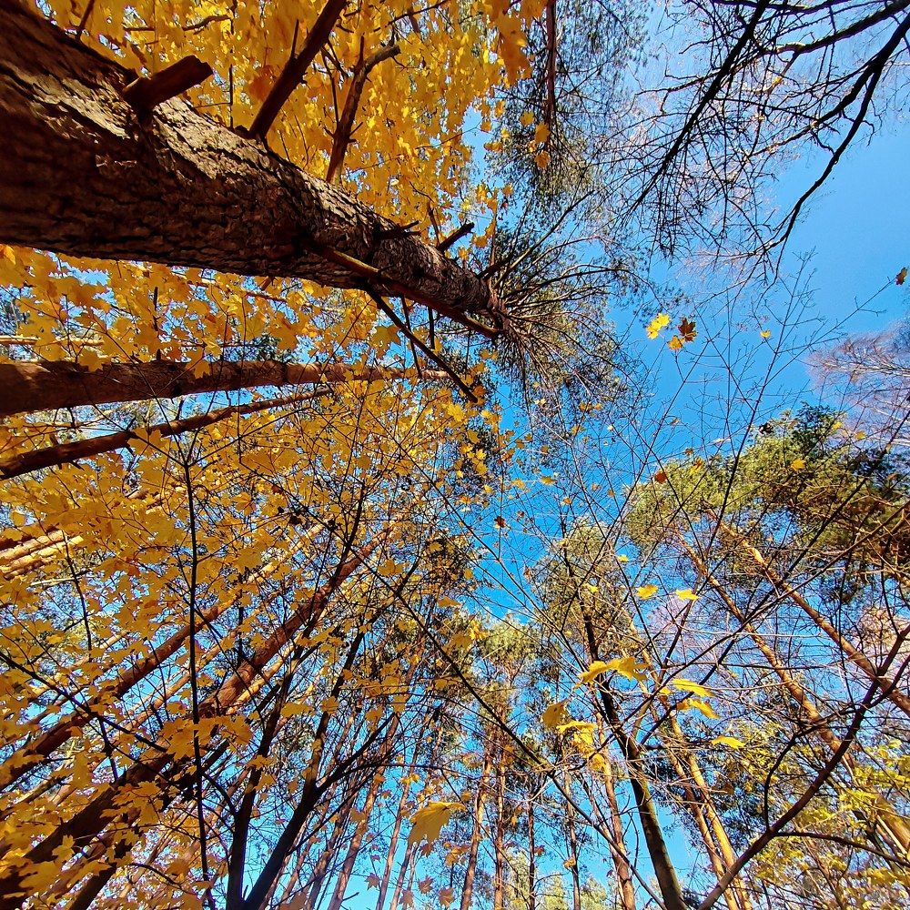 Photograph by Галина