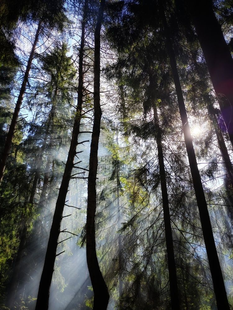 Photograph by Галина