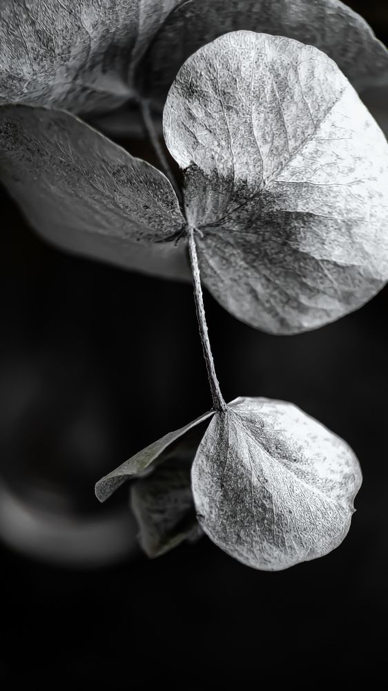 Фотография автора Марина Алексеевская