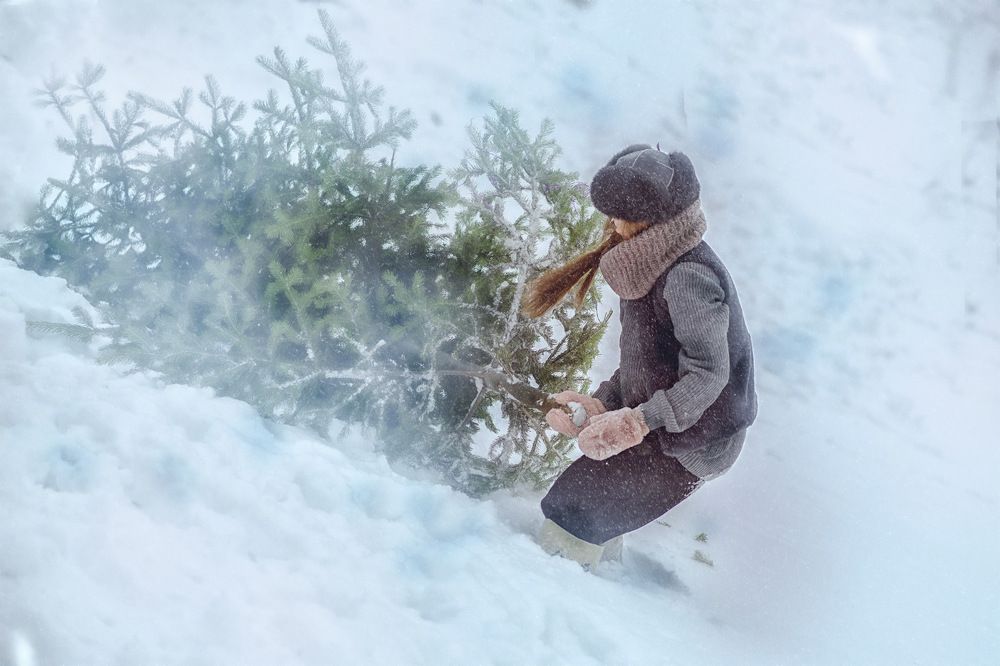 Photograph by Marina Ivanova