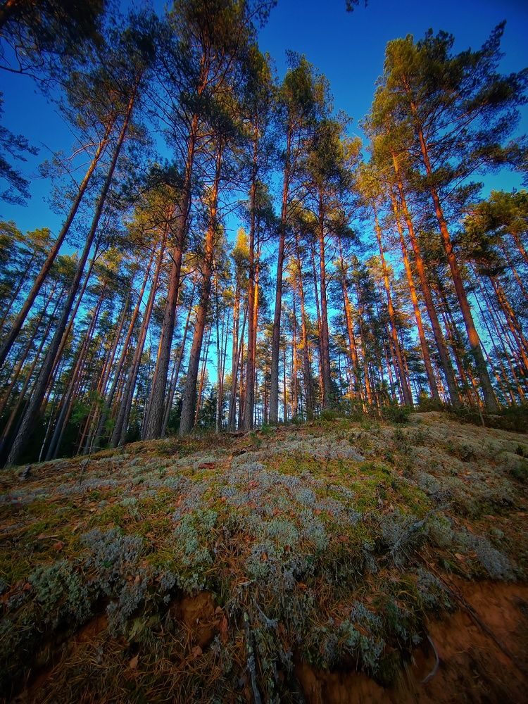 Photograph by Галина