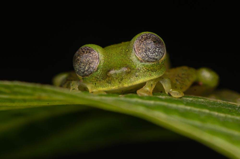 Photograph by Mateo García Mejía