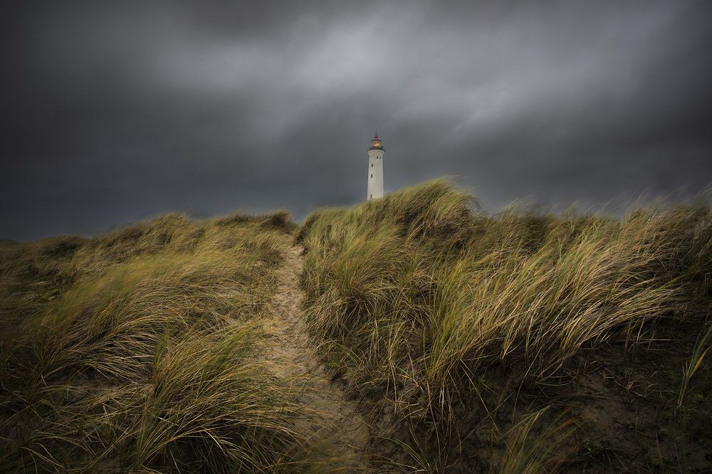 Photograph by Klas Gustafsson