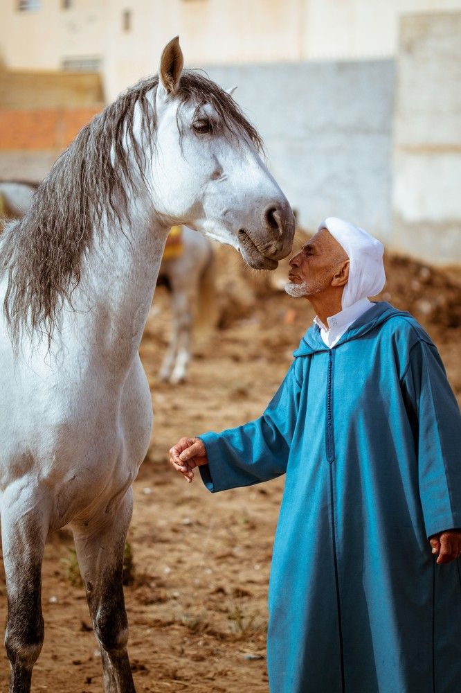 Photograph by SOUFIANE EL KADAOUI