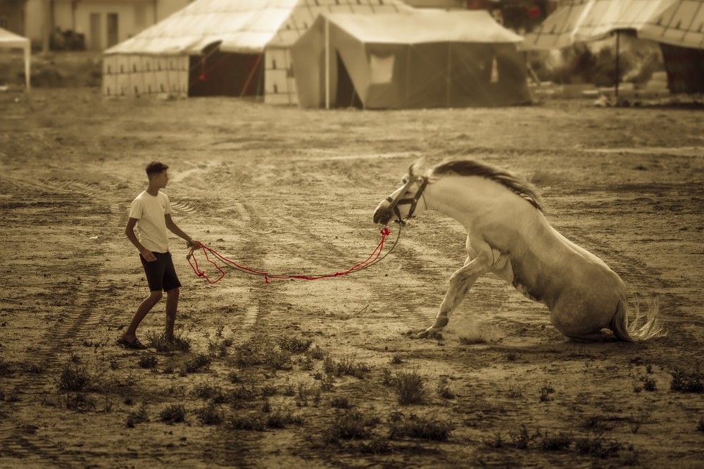 Photograph by SOUFIANE EL KADAOUI