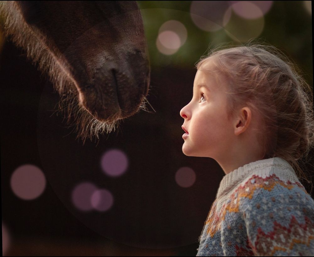 Фотография автора ANA MARIA BRAÑAS