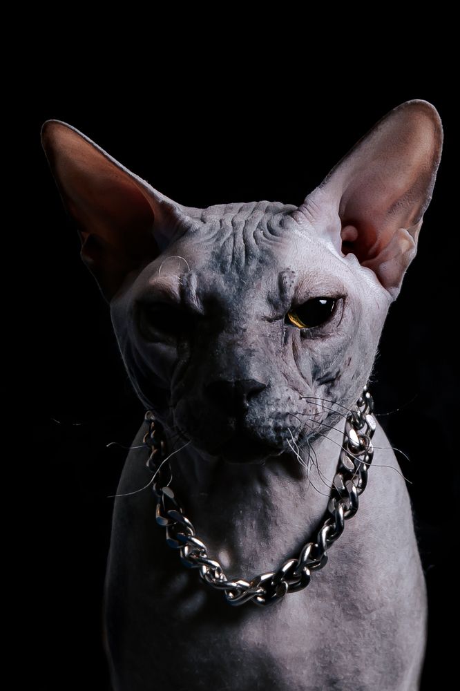 Photograph by Светлана Пудовкина