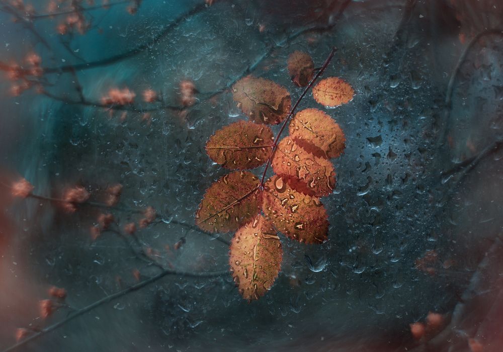 Фотография автора Мария Обидина