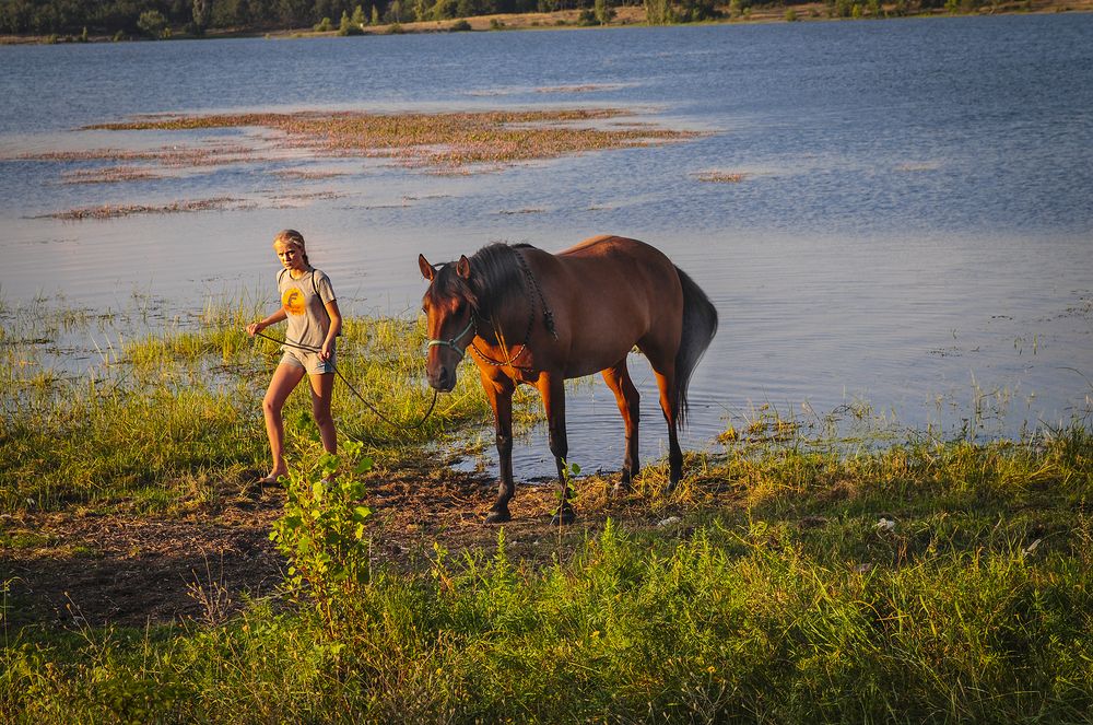 Photograph by Валерий Рябцев