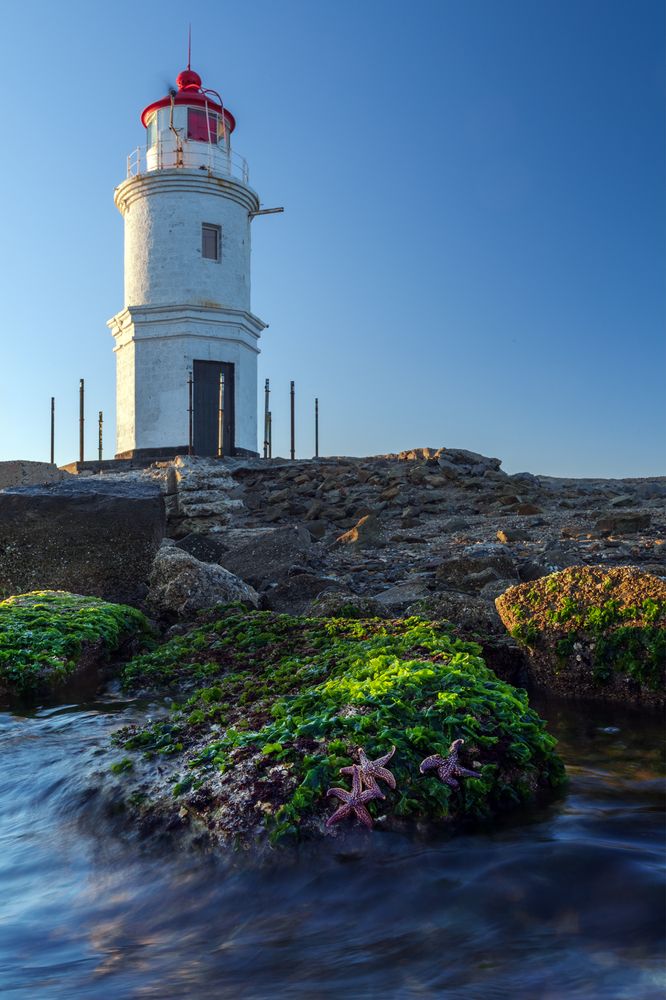 Photograph by Крицак Ольга