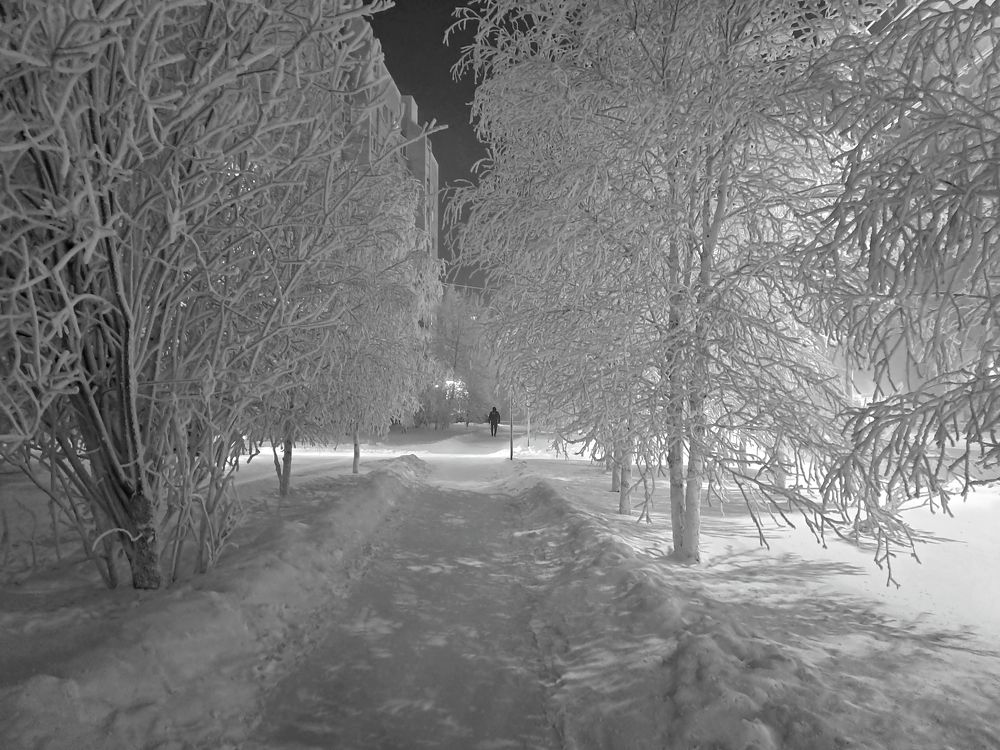 Русская зима в Приполярье