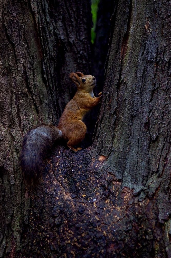 Photograph by Анна Бондаренко