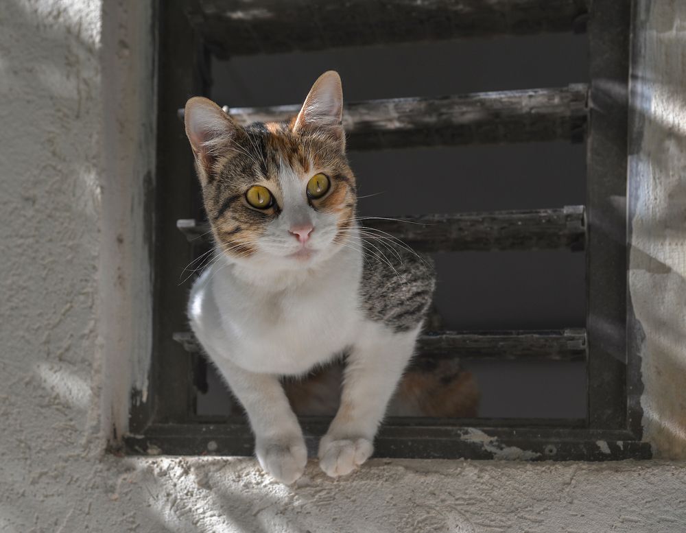 Photograph by Марина Ческис