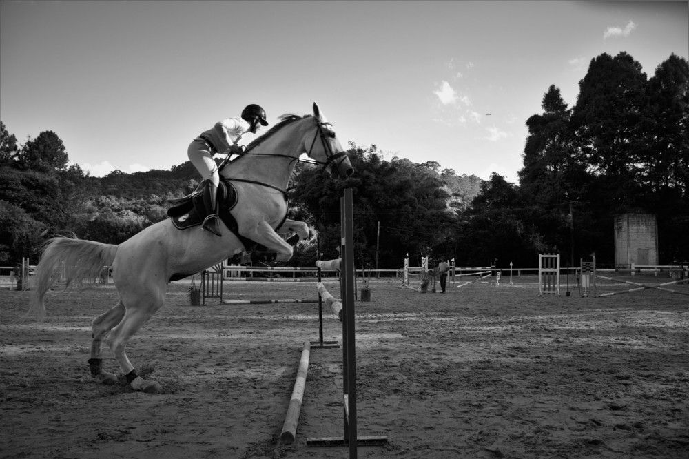 Photograph by Aretusa Sousa