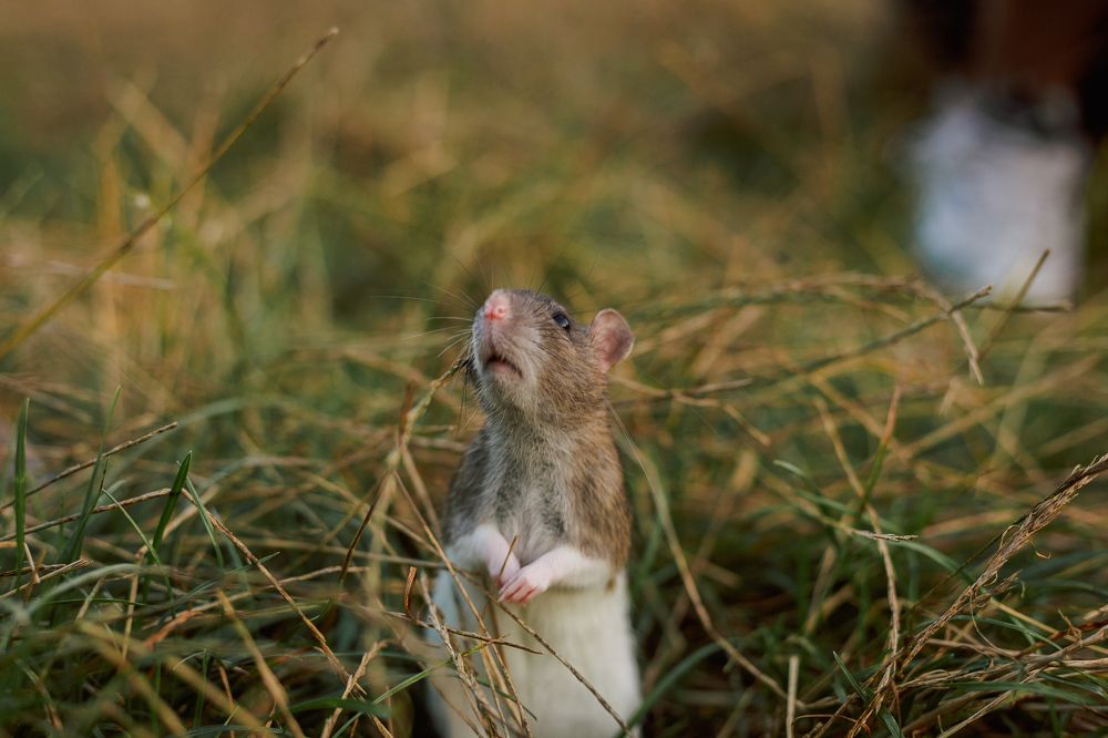 Photograph by Edgar Milic