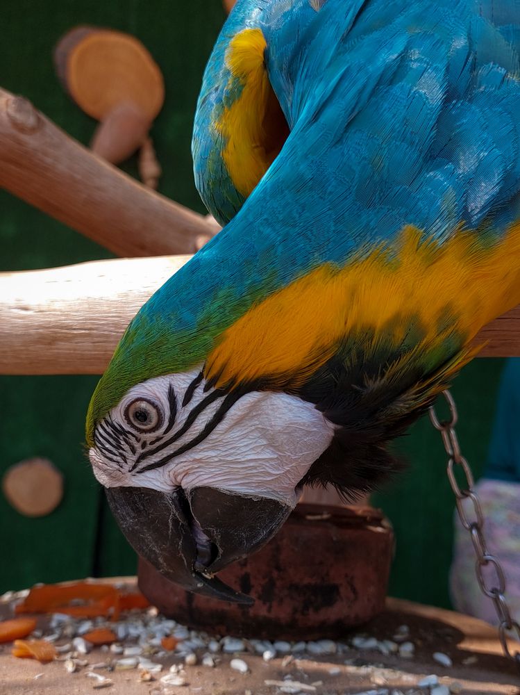 Photograph by Nour Kamal