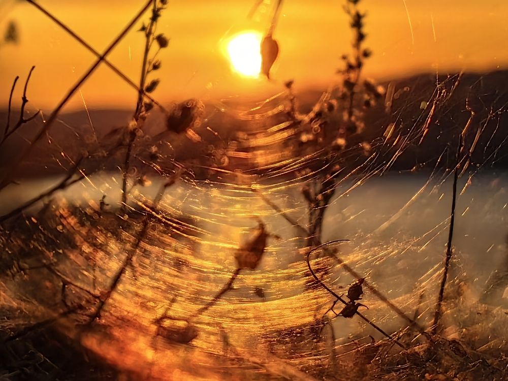 Фотография автора Максим Тельтевский