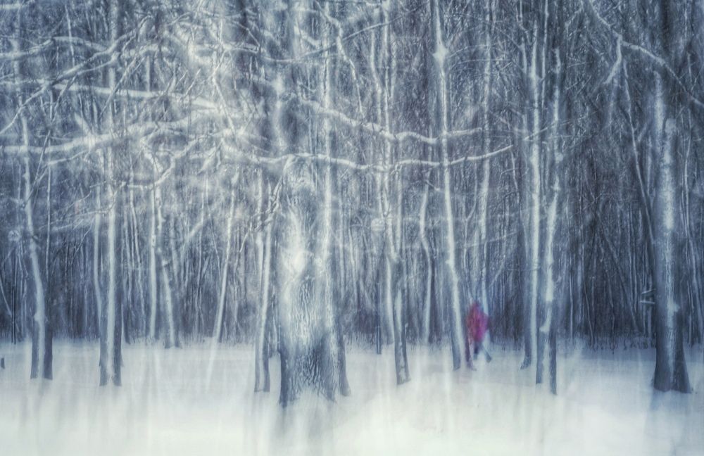 Photograph by Инна Карасева