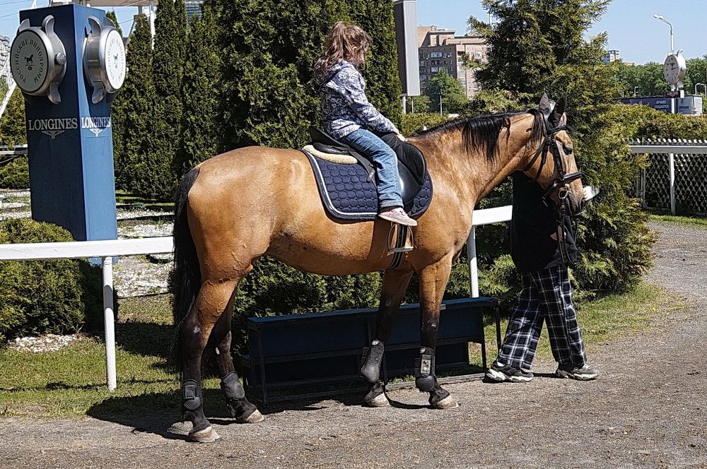 Photograph by АЛЕКСАНДР ЦЫГЕЛЬНЮК