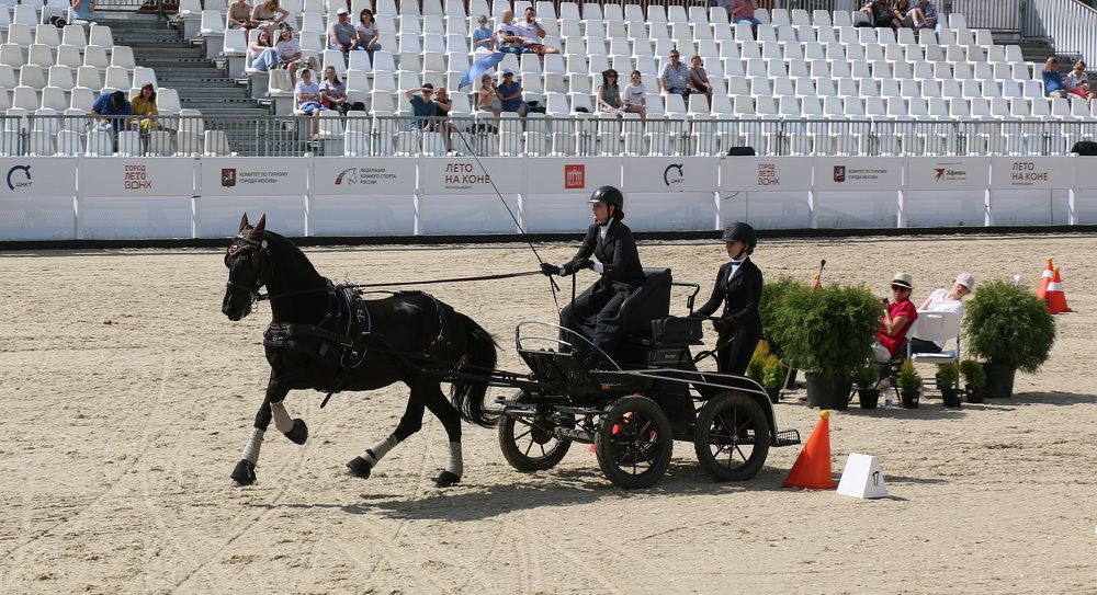 Фотография автора АЛЕКСАНДР ЦЫГЕЛЬНЮК