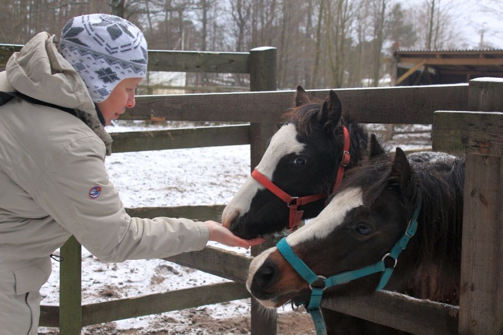 Photograph by Olga Bagaeva