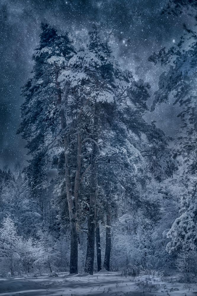 Photograph by Юлия Онучина