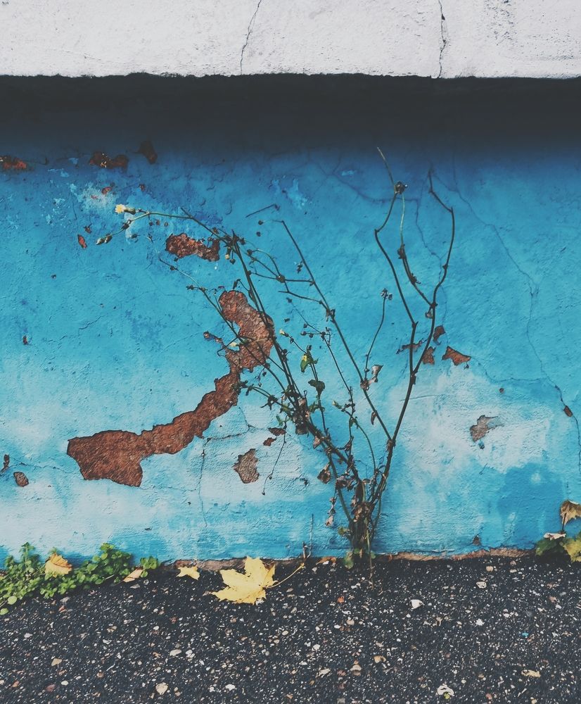 Фотография автора Catherine Shashkova