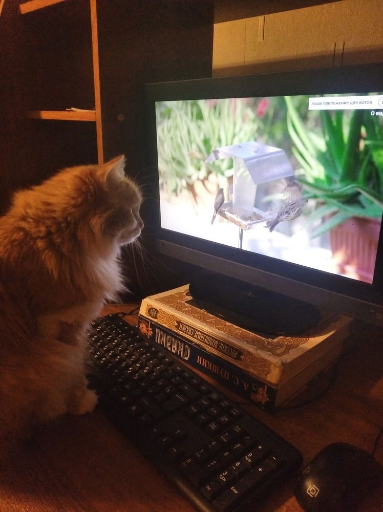 Photograph by Надежда Болтунова