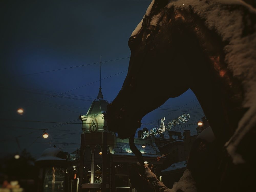 Photograph by Дайана