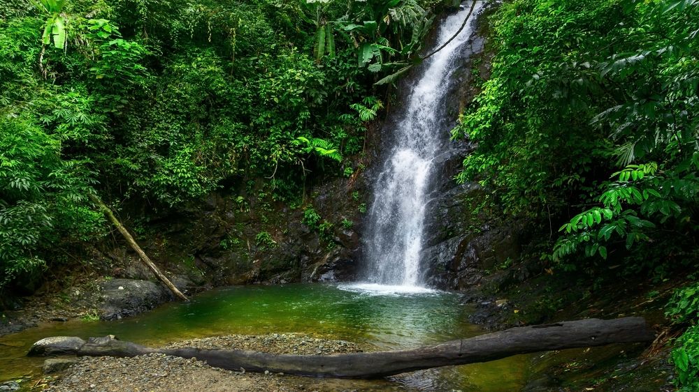 Photograph by юрий ященко