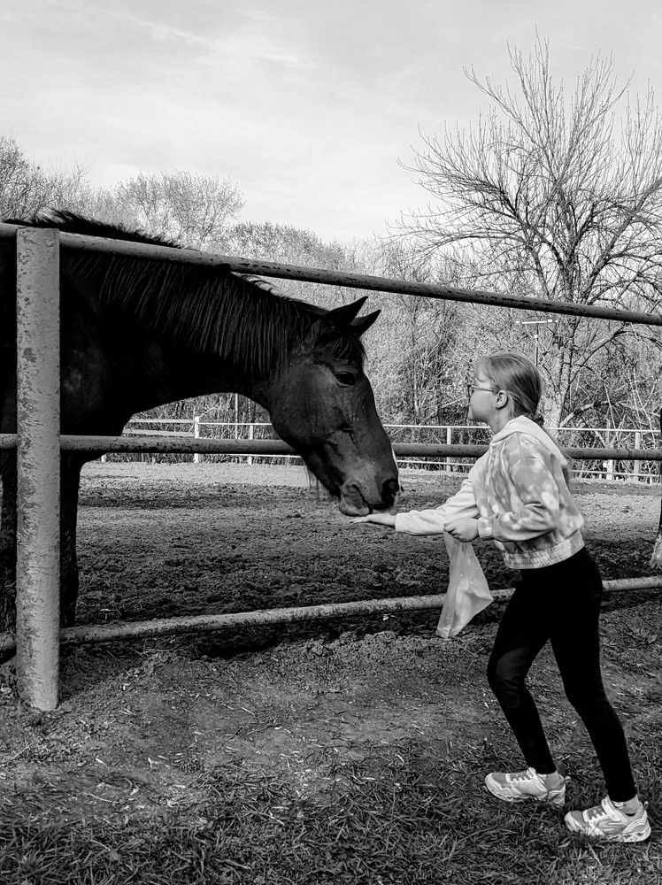 Photo #9970229
