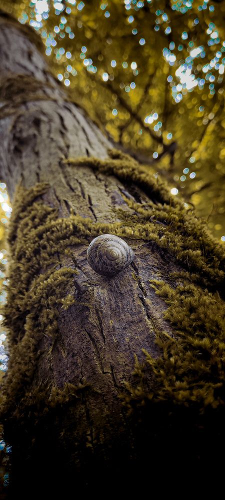 Photo #9970256