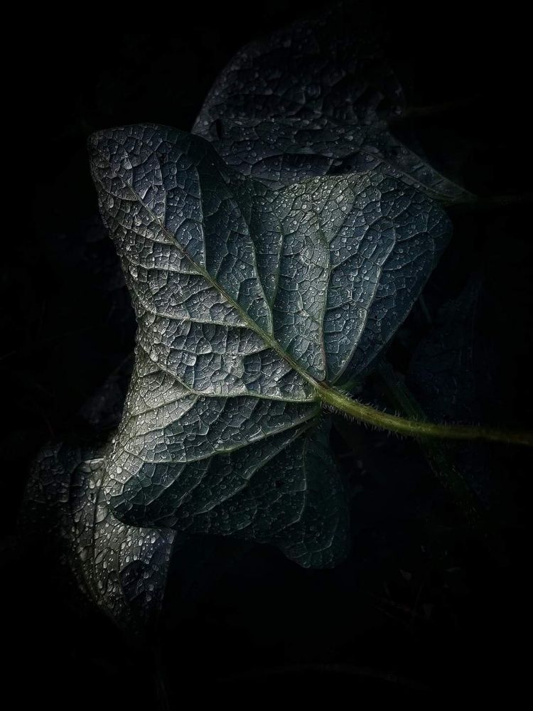 Photograph by Ольга