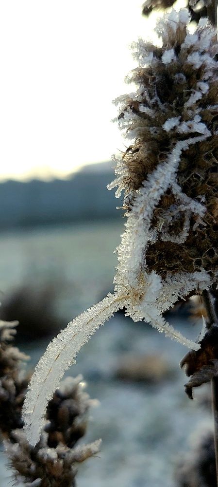 Фотография автора Можаев Сергей