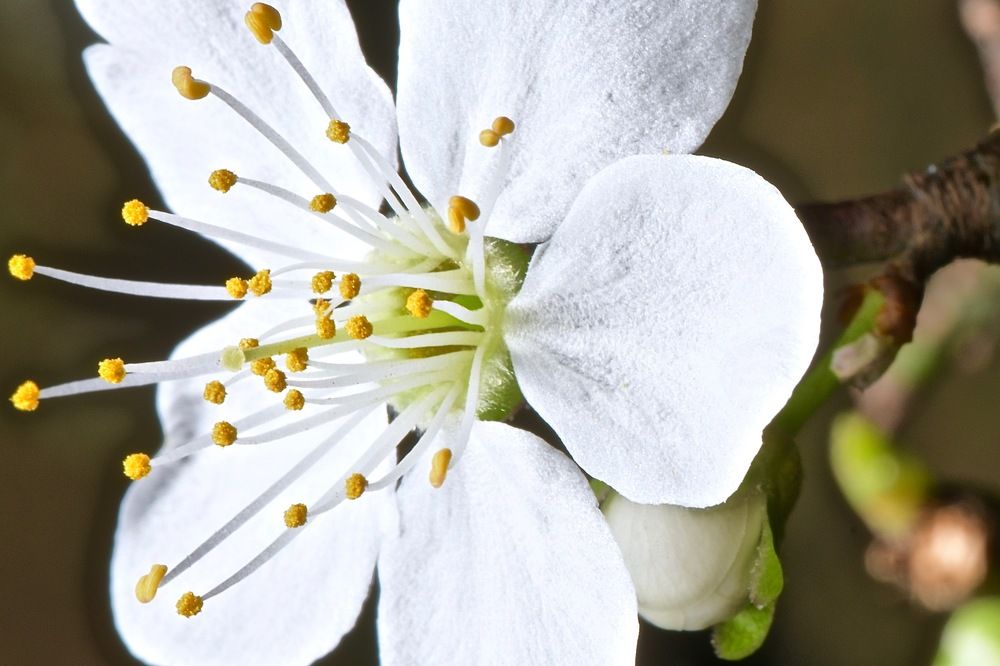 Photograph by Юлия Мартова