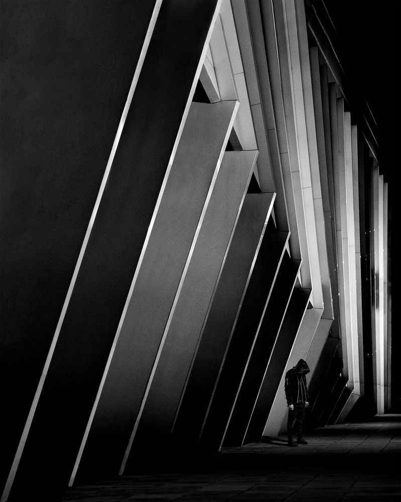 Фотография автора arastoo qadermazi