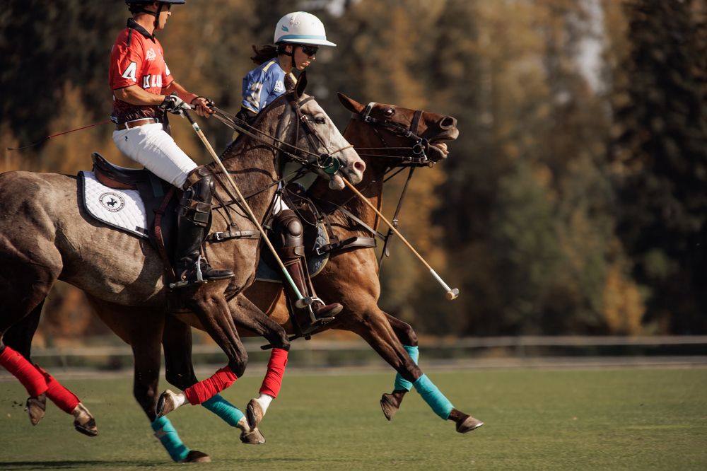 Фотография автора Юлия Онучина