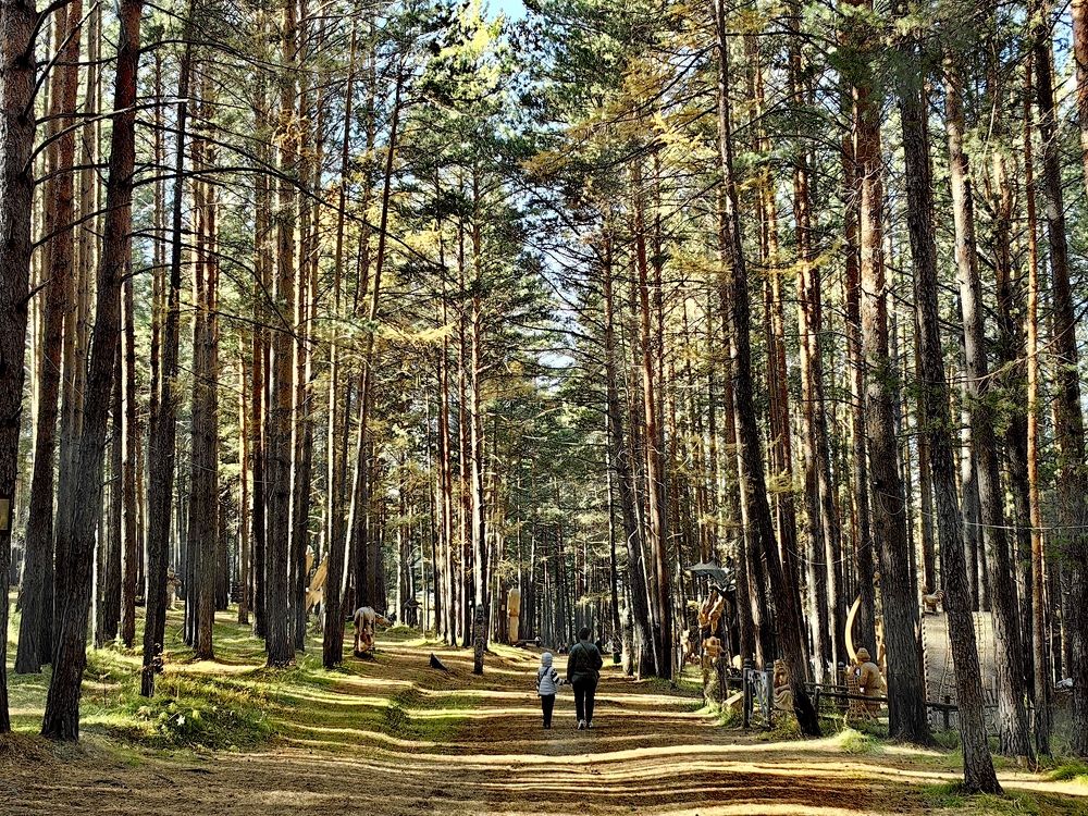 Фотография автора Максим Тельтевский
