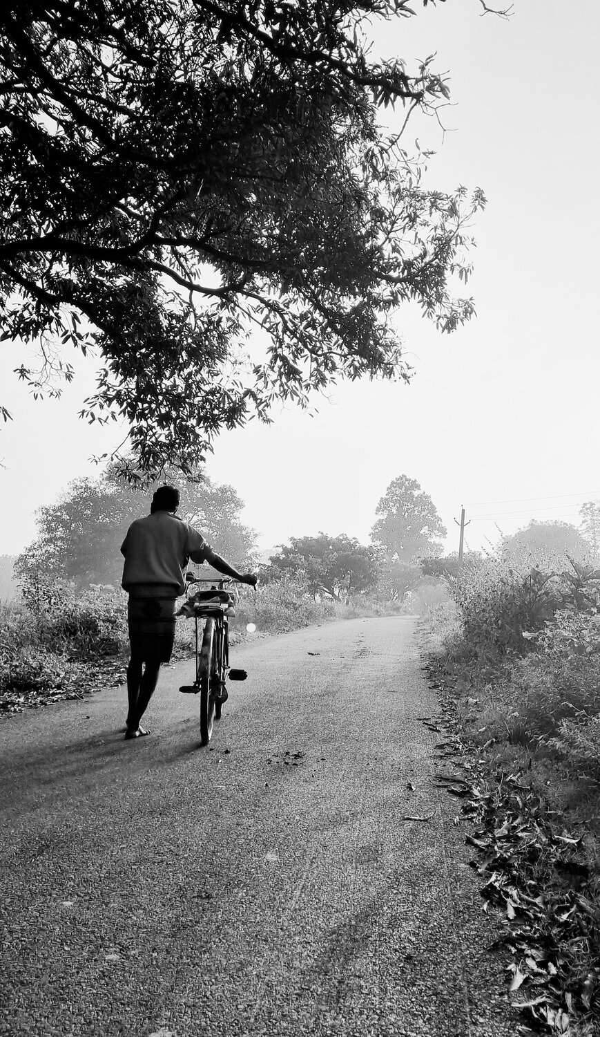 Photo #9970429