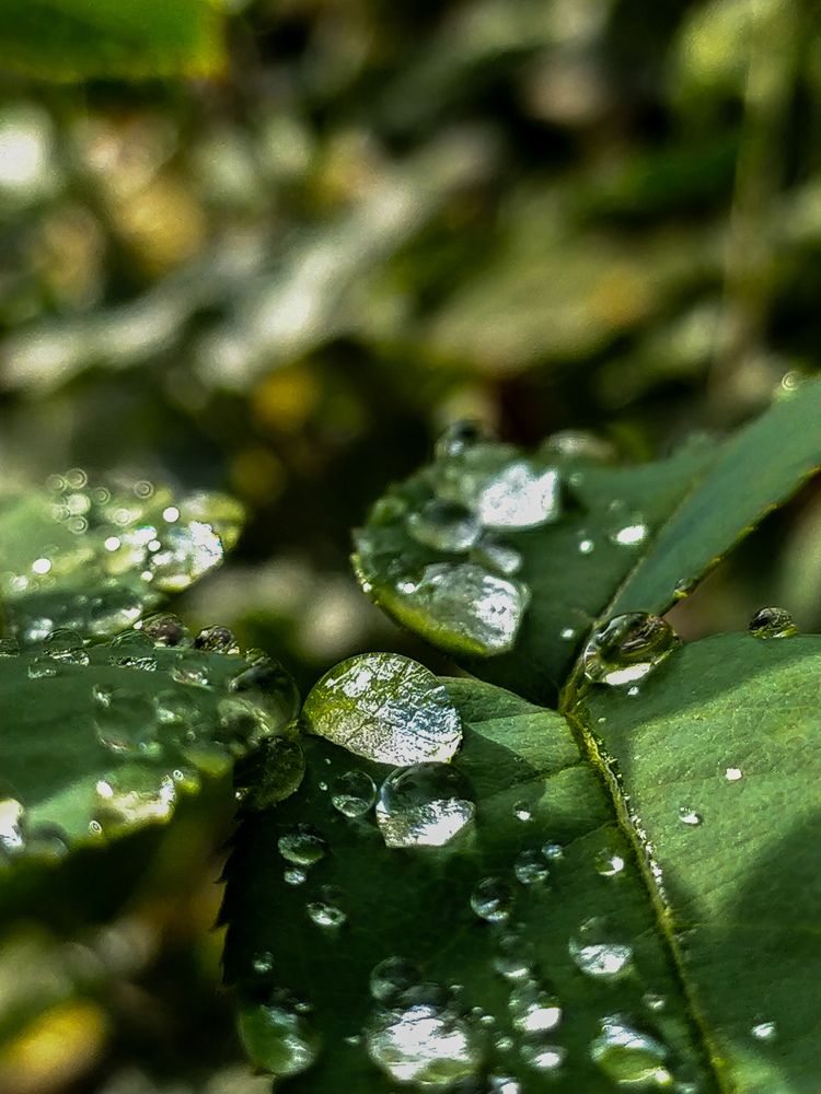 Photograph by Tatiana