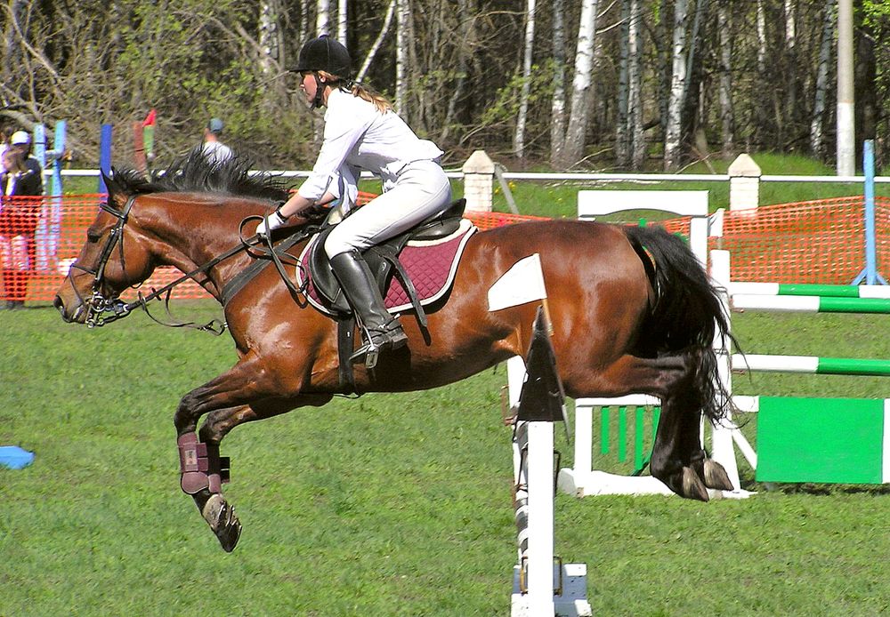 Взяли барьер!