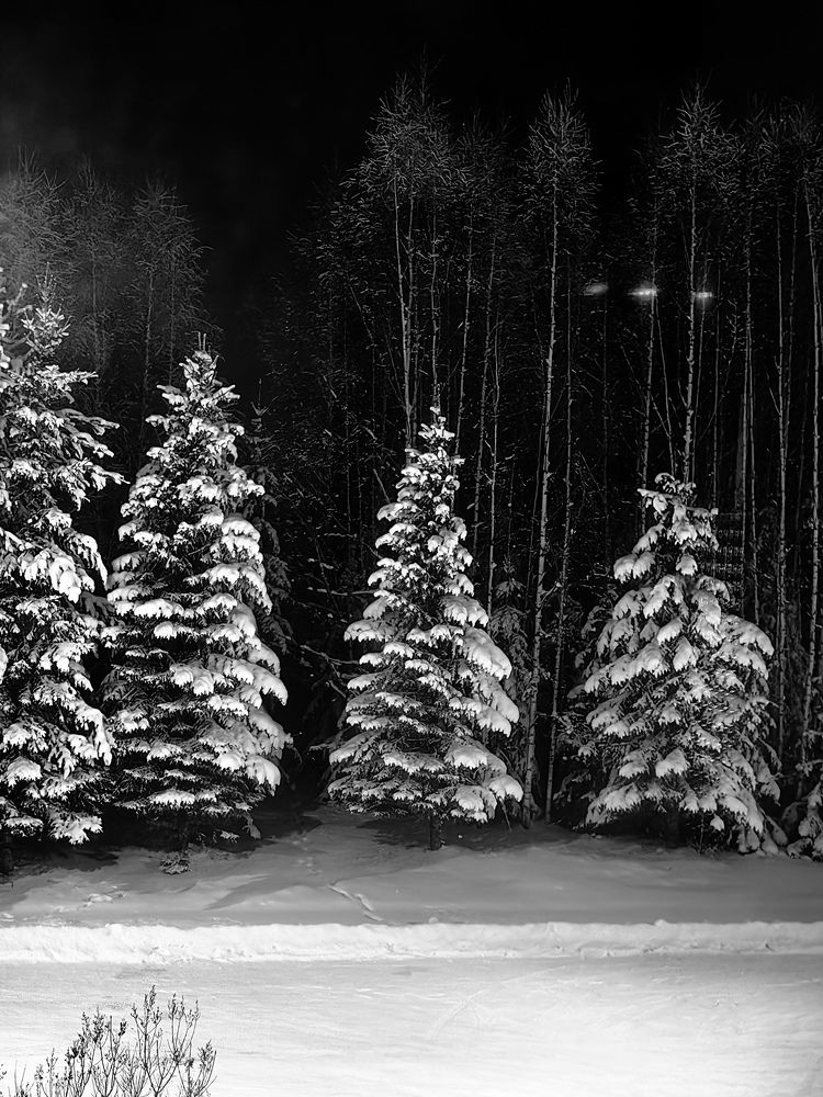 Photograph by Alexandr