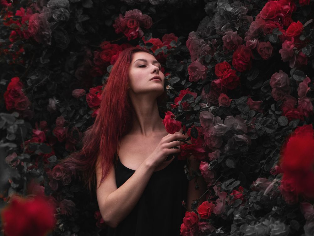 Photograph by Михаил Курихин