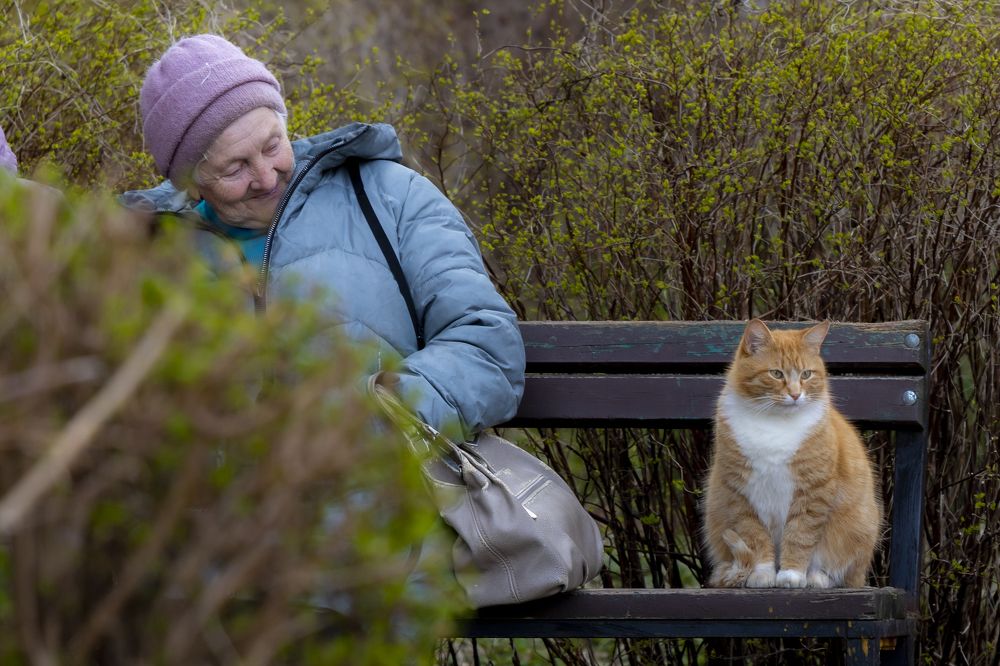 Photograph by Константин Чижов