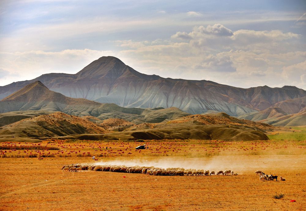 Photograph by Bekir Yesiltas