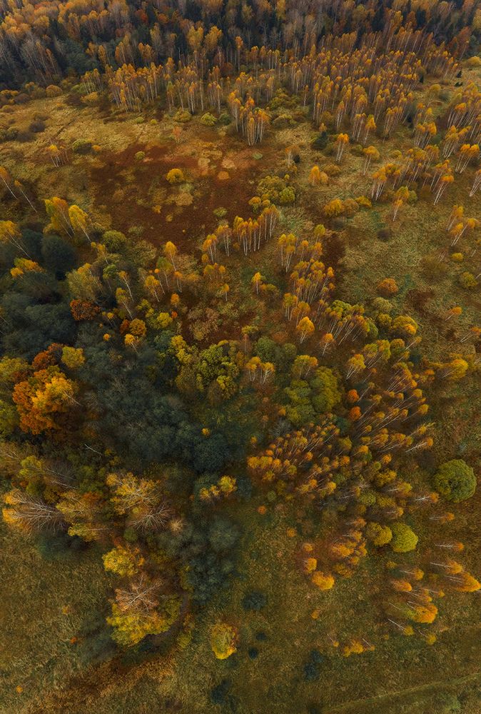 Фотография автора Юлия Онучина