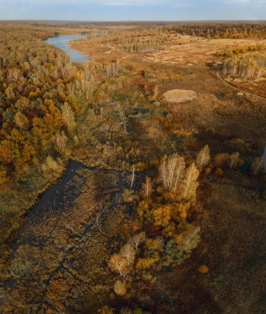 Фотография автора Юлия Онучина