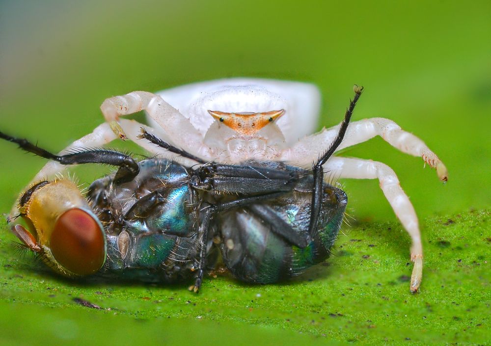 Photograph by Kasun Wickramasinghe