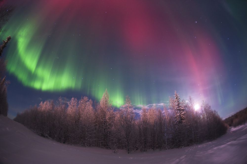 Photograph by Евгений Виличинский