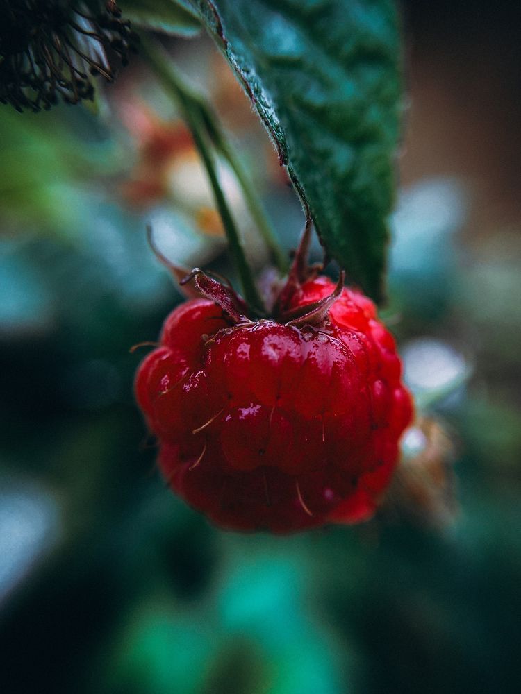 Photograph by Алия Крохалева